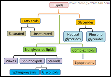 Classification of Lipids 