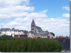 2011.07.24-001 vue sur la cathédrale Saint-Louis
