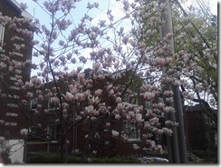 P04-05-12_18-32 P04-05-12_18-32