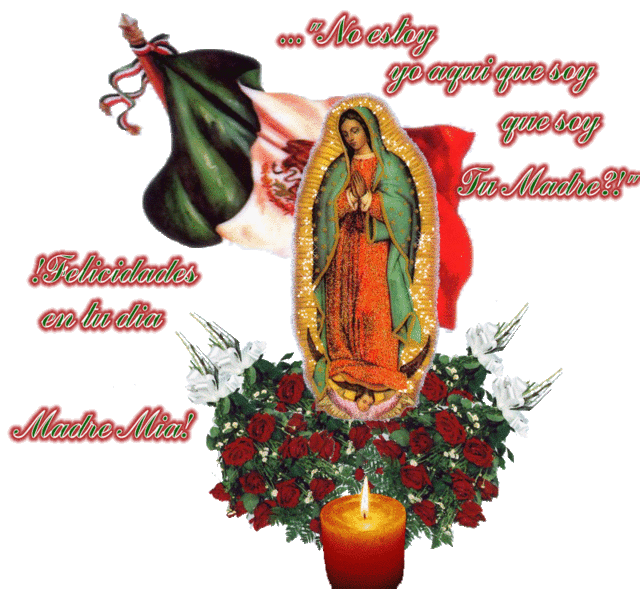 VIRGEN GUADALUPE GIFS (2)