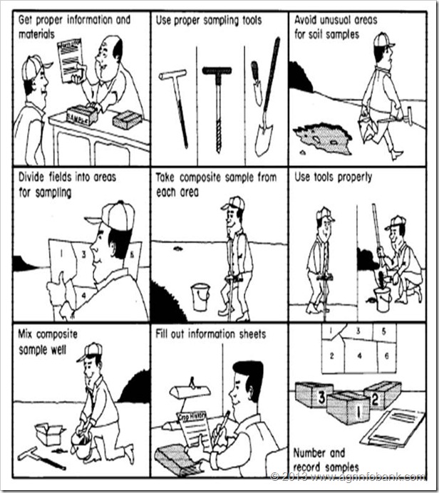 Soil Sampling www.agrinfobank.com