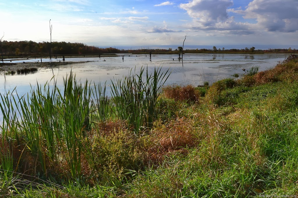 [DSC_0021%255B9%255D.jpg]