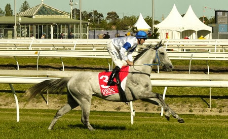 race 9_luckygray 1