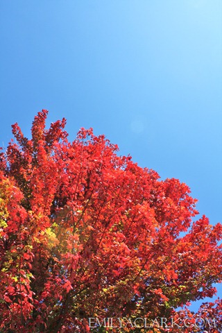 [IMG_2667%255B12%255D.jpg]