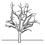 %252525E2%25252580%252525A0rbol_4.jpg