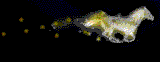 caballos%252520%2525289%252529_thumb