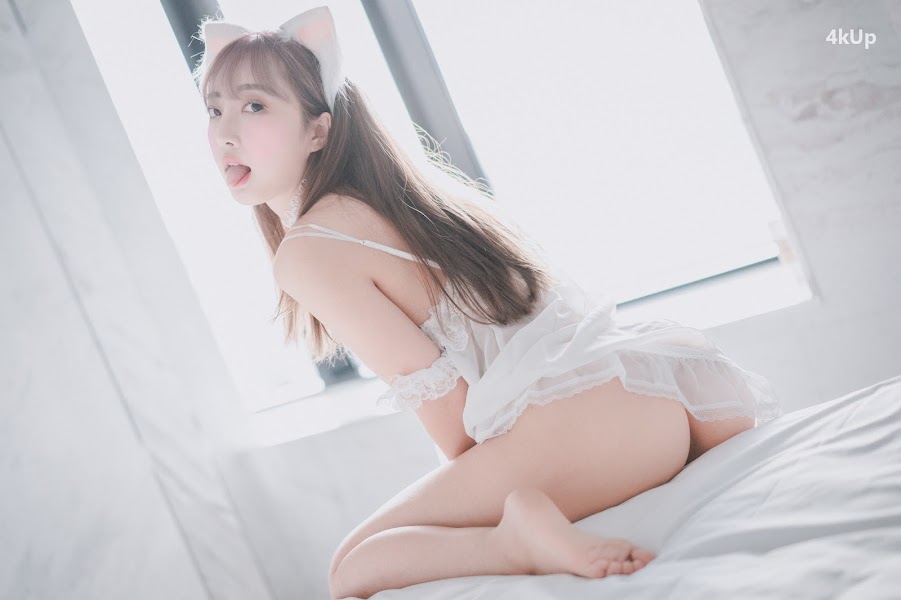 DJAWA Photo – HaNari (하나리) Snow Cat