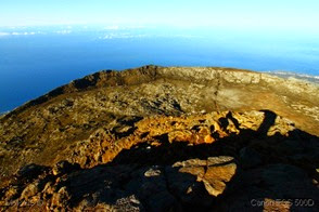 IMG_2365 IMG_2365