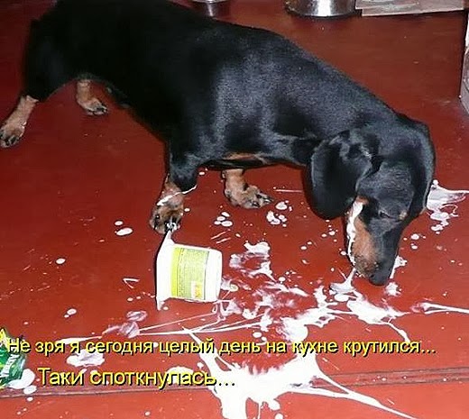 [878fd6065472113e9ae5ebdfa1d_prev%255B4%255D.jpg]