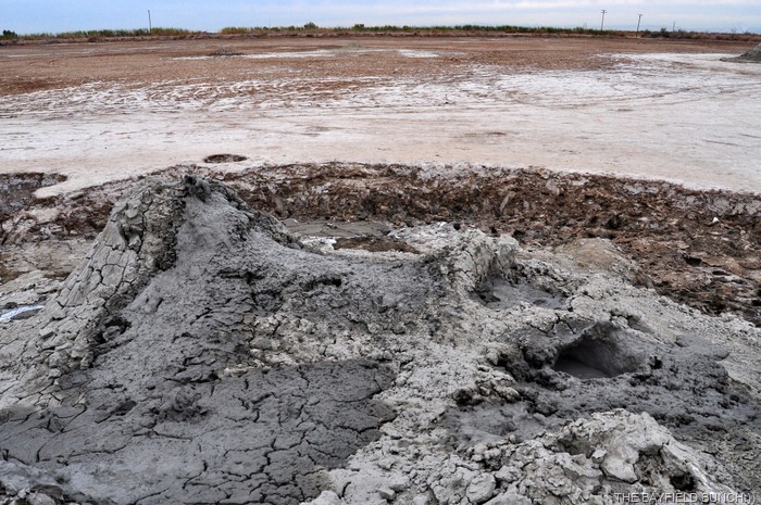 [DSC_0049%255B4%255D.jpg]