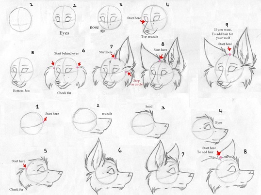Desenhando lobos Part 1