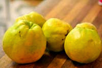 quince-jam-1.jpg