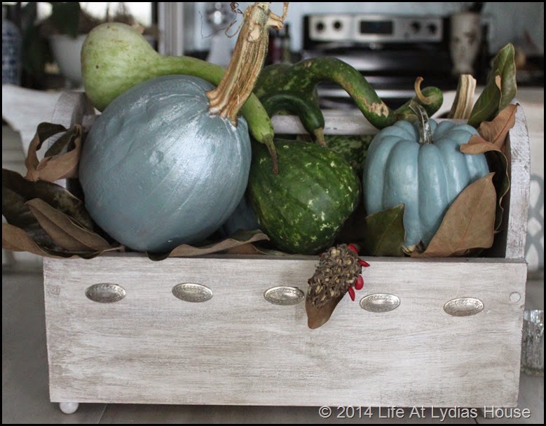 box of pumpkins and gourds
