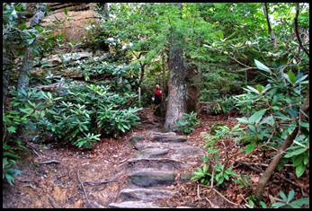 17 - Rock Garden Trail - Trail Changes to Stone Steps