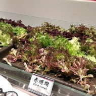 真膳美饌百食匯