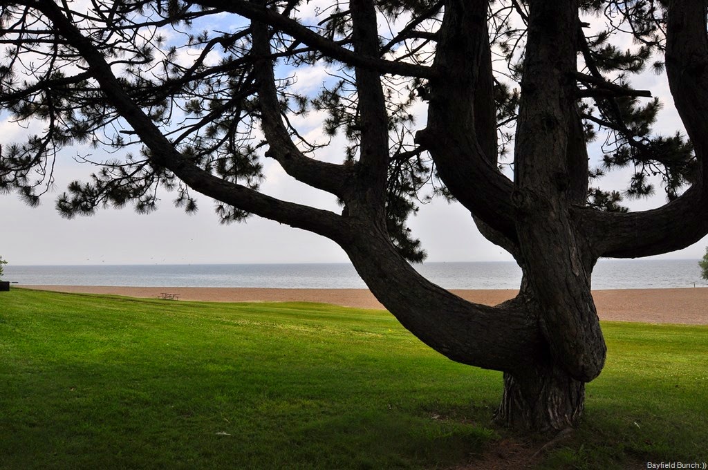 [DSC_0022%255B3%255D.jpg]