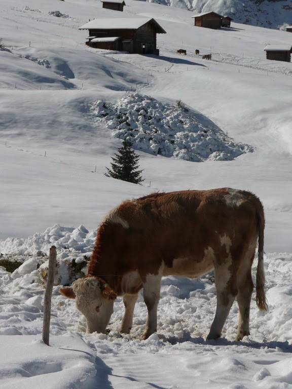 [P10904414.jpg]