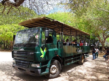 Photo safari bus