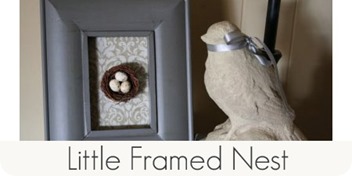 Little framed nest