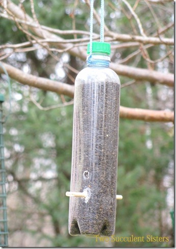 diy finch feeder