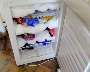 [Freezers-Frosted_Up_Freezer14.jpg]