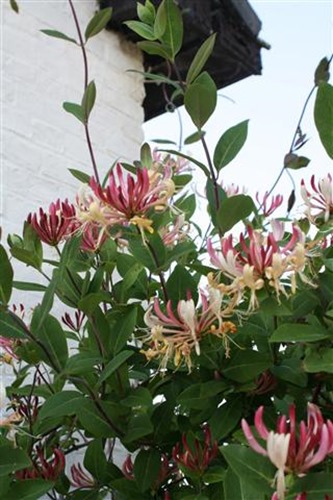 20100615 (3) (Small)