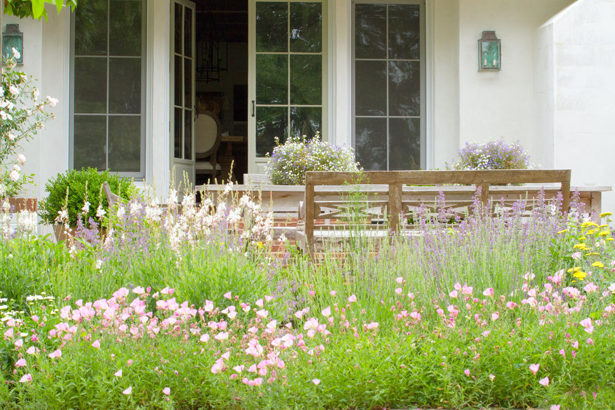 [image%255B225%255D.png]