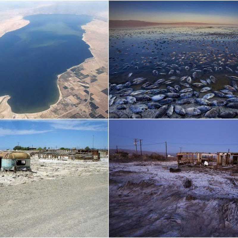 Salton Sea The Accidentally Created Lake Amusing