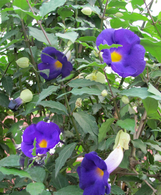 [image%255B69%255D.png]