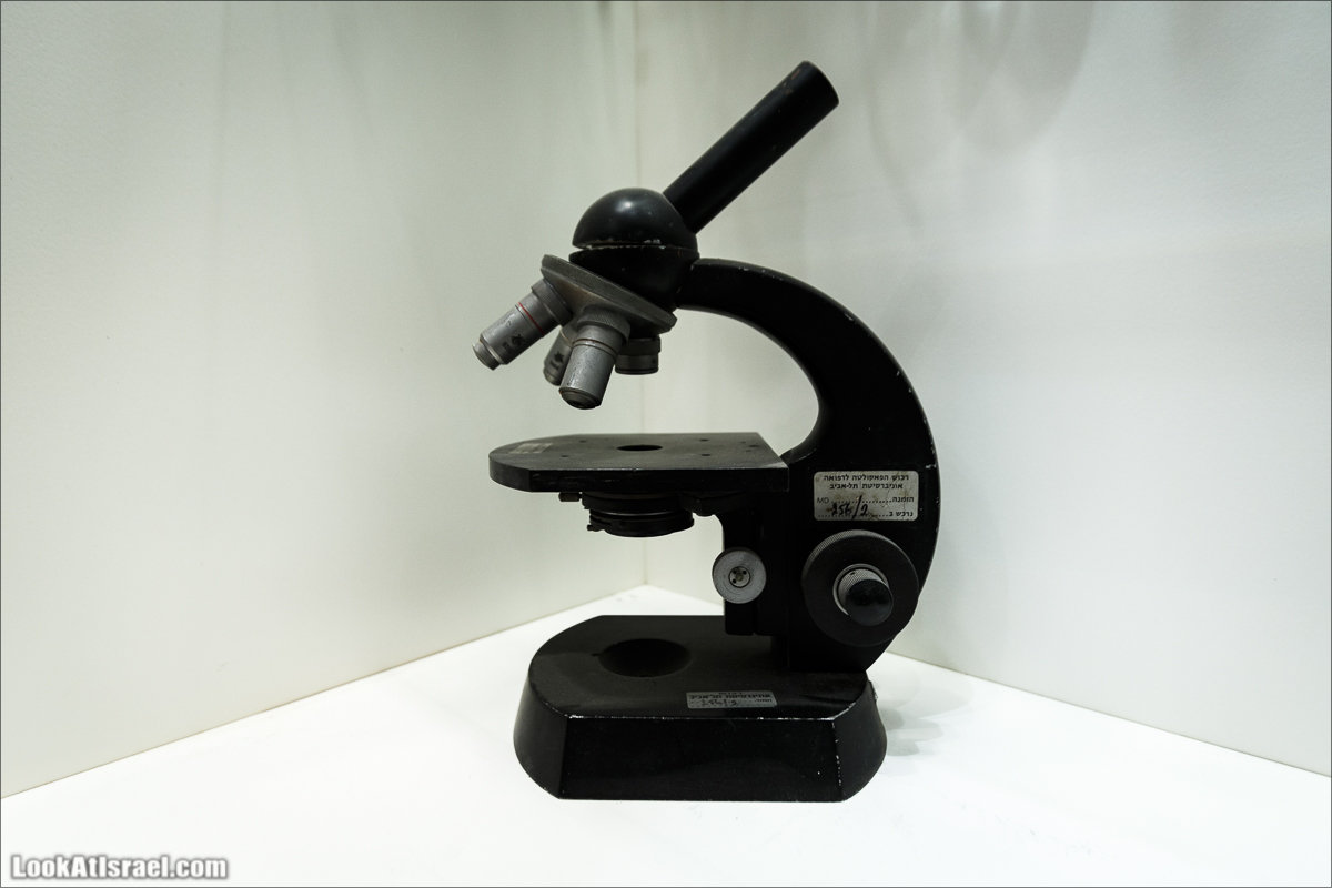 Менахемия - Козья Ферма Аз Из и медицинский музей Бейт ха-Рофе | Menahemia - As Is farm and medical museum | LookAtIsrael.com - Фото путешествия по Израилю | מנחמיה - חוות עז עיז ובית הרופא