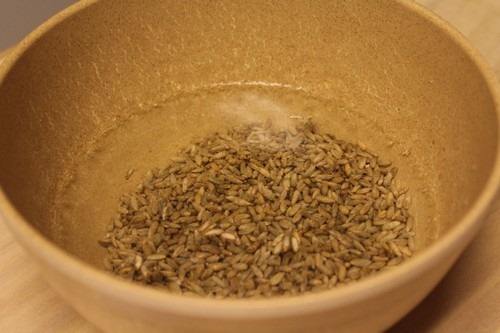 sprouted-rye-bread01