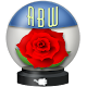 ABW Theme - Rose APK