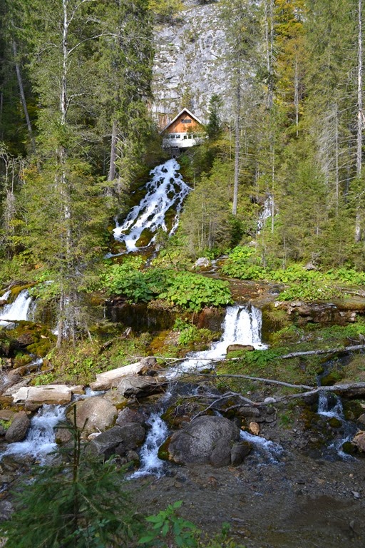 [DSC_02624.jpg]