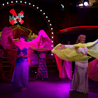 IMG_6616.jpg