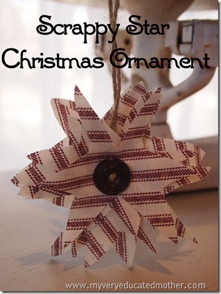 www.myveryeducatedmother.com: Scrappy Star Christmas Ornament