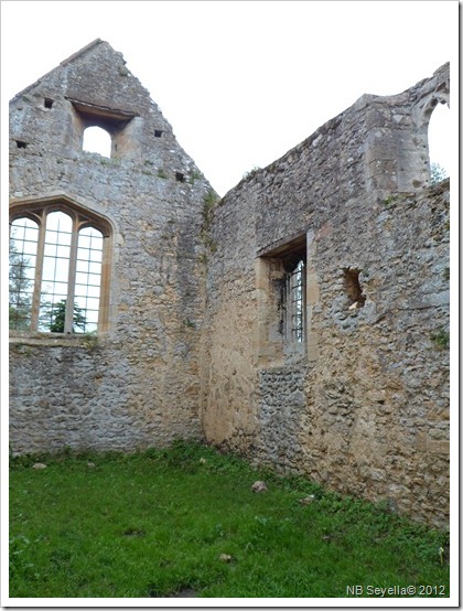 SAM_1634 Godstow Abbey