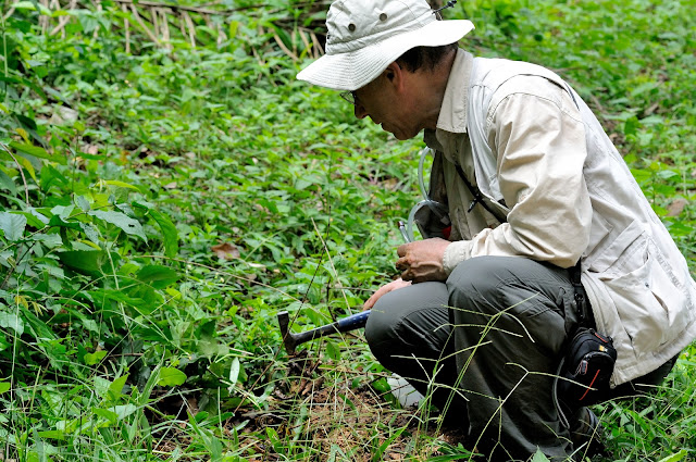 Coléoptériste sur le terrain. Ebogo (Cameroun), 19 avril 2013. Photo : Daniel Milan