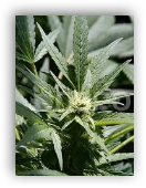 [image%255B3%255D.png]