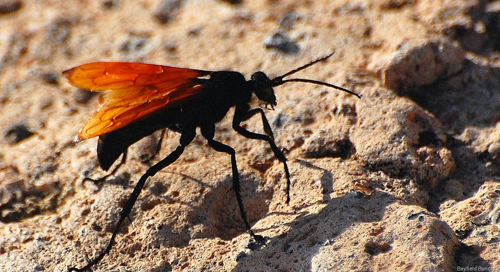 [DSC_2255%255B3%255D.jpg]