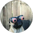 Oscar Ruiz profile picture