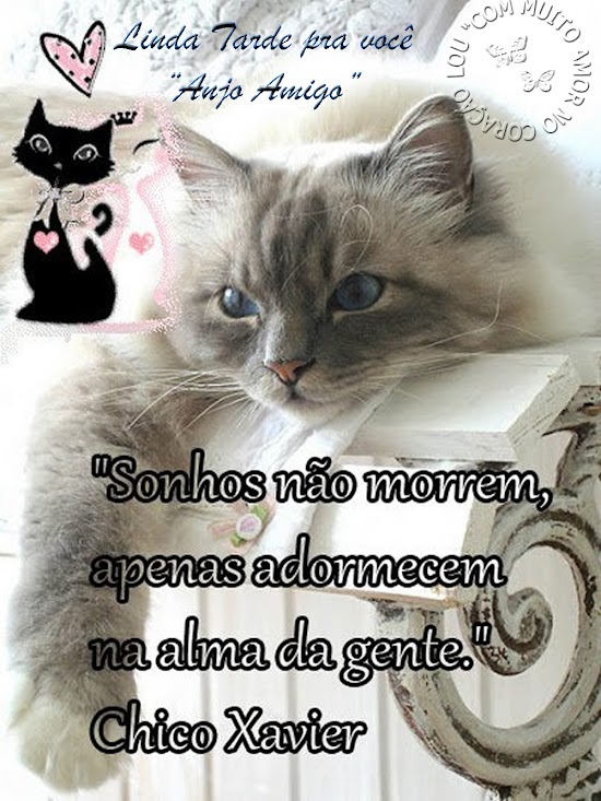 sonhosn%C3%A3omorrem.jpg
