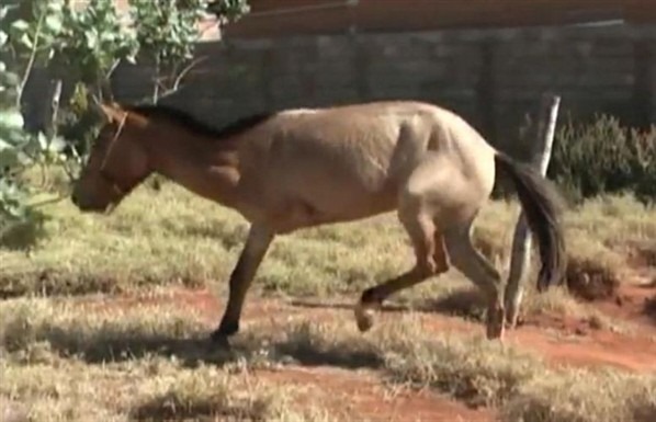 [%25C3%2589GUA%25202%255B3%255D.jpg]