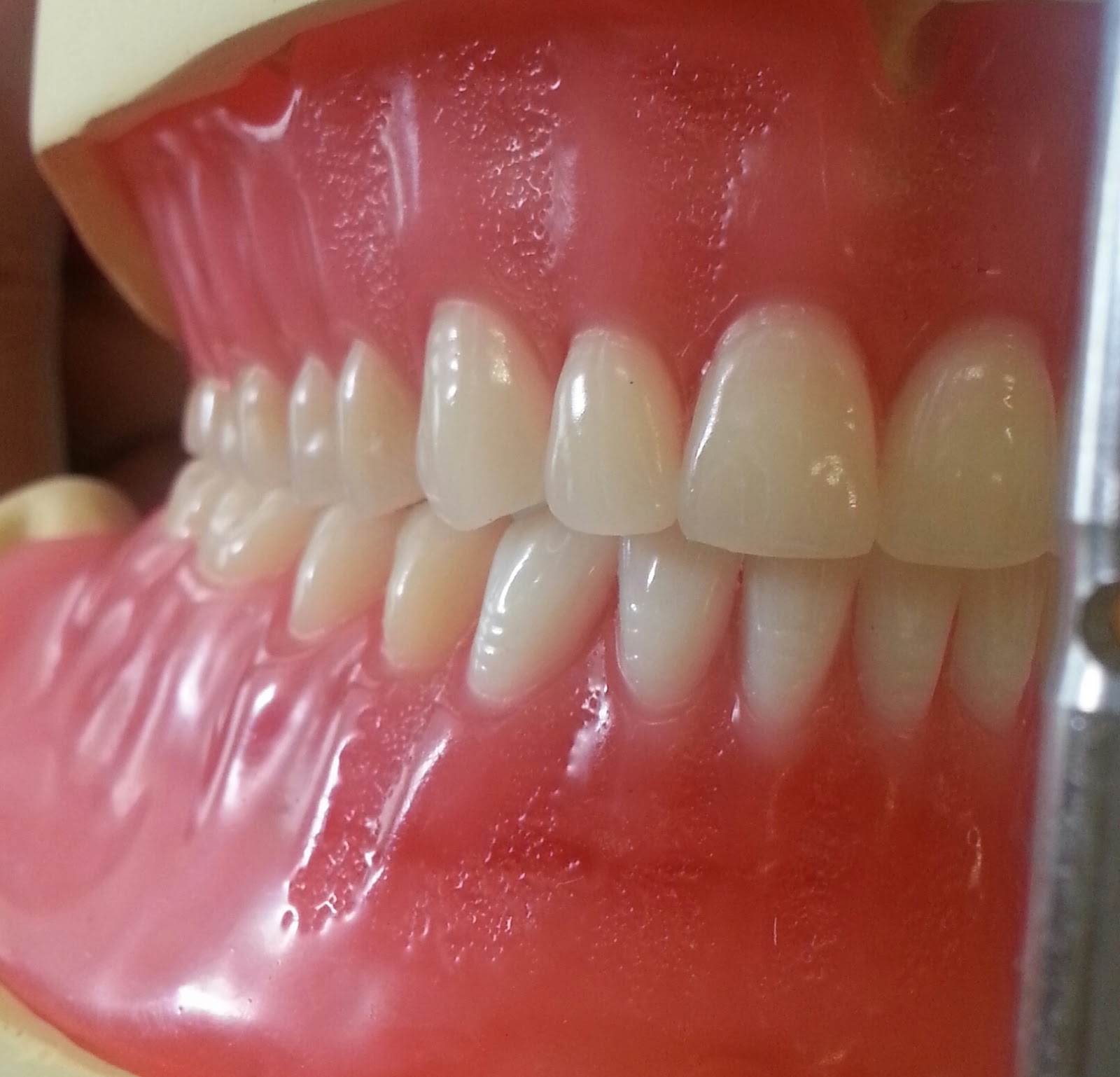 Mrs D's Dental Technology space for student Comment on improvements