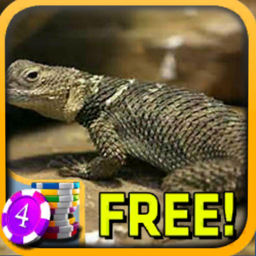 3D Spiny Lizard Slots - Free 博奕 App LOGO-APP開箱王