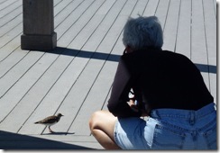 Nancy- Bird Whisperer