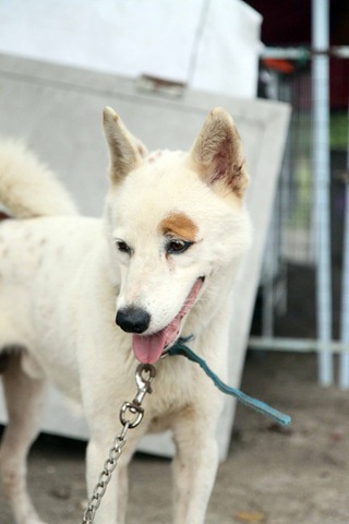 [IMG_0404%255B3%255D.jpg]