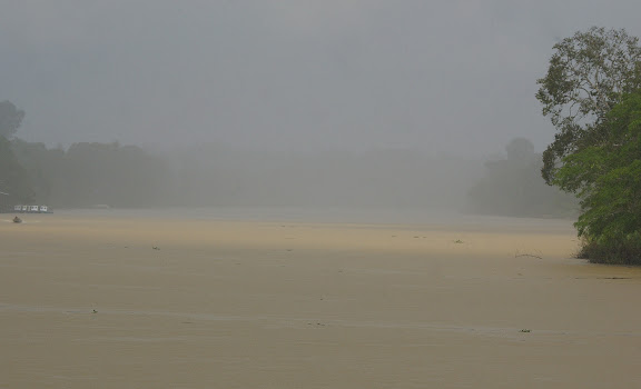 La Kinabatangan sous la pluie. Sukau, 8 août 2011. Photo : J.-M. Gayman