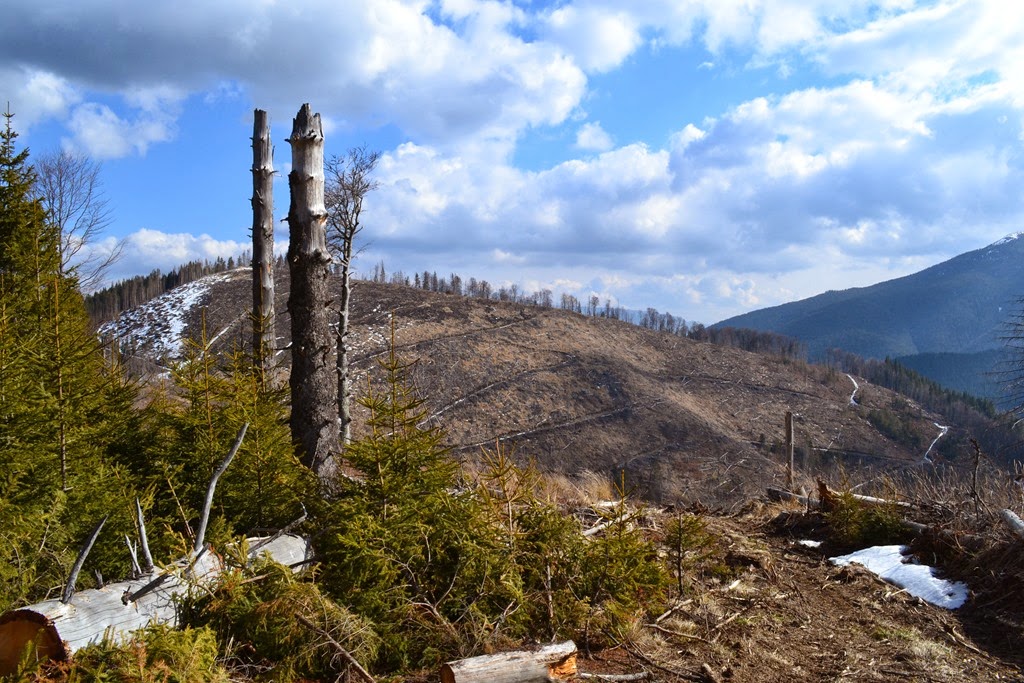 [DSC_53283.jpg]