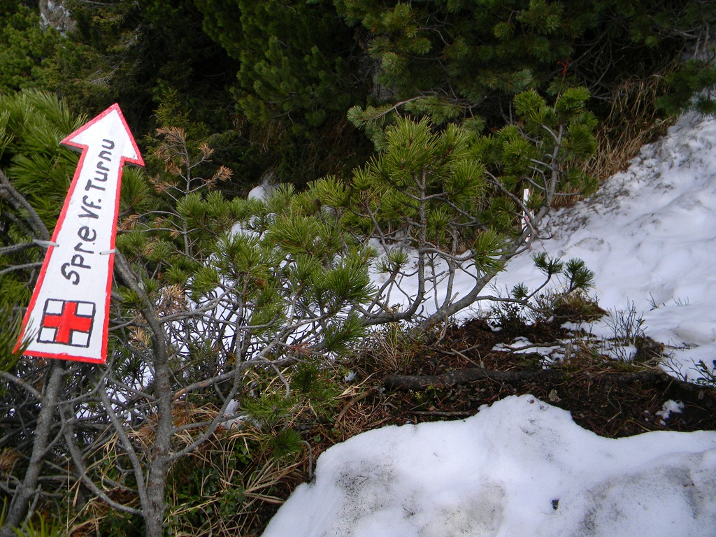 [DSCN49823.jpg]