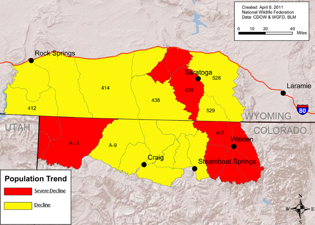 Deer Pronghorn Numbers In Severe Decline In Colorado